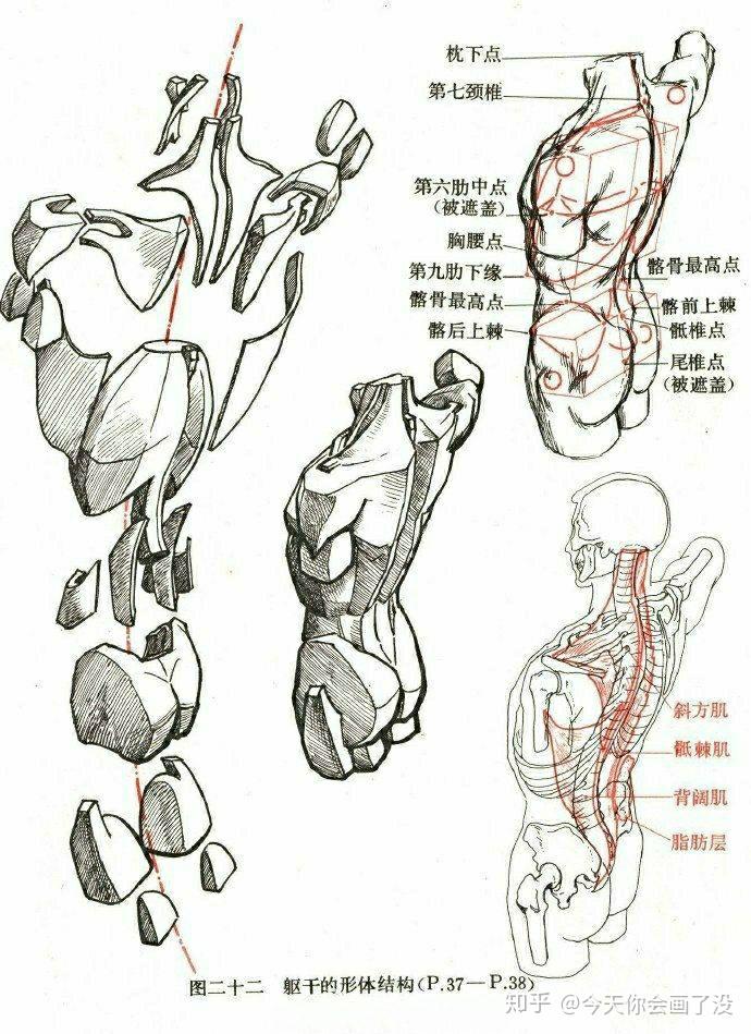 v2-dd52ef0daf5e712a87d851ae91919dc8_r.jpg