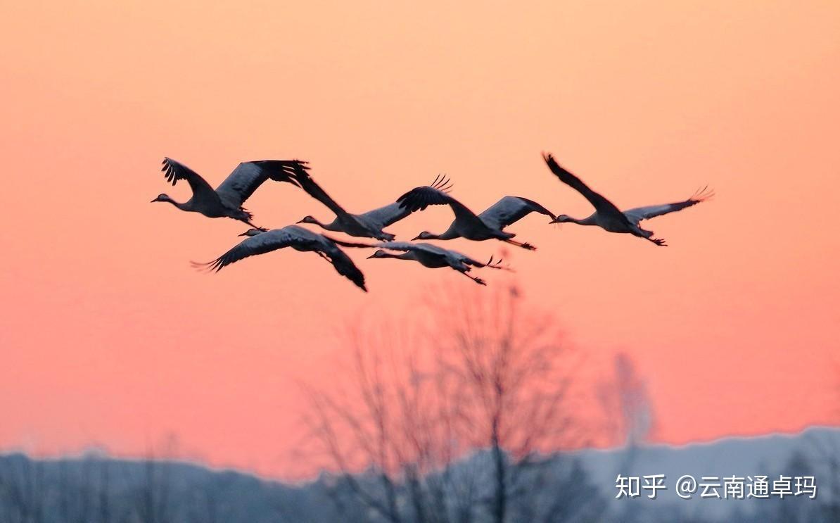 去处冬季最佳旅游的地方_2020冬季旅游最佳去处_冬季旅游最佳去处