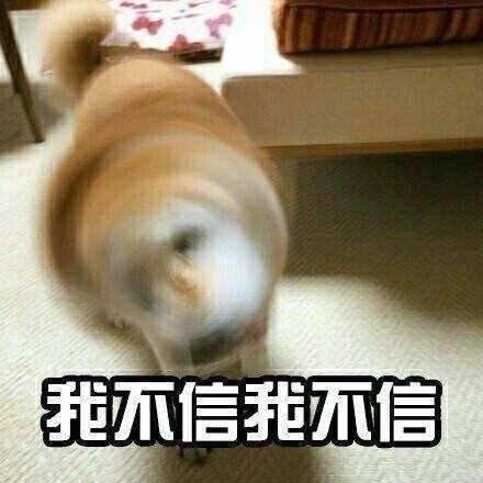 v2-dd5c9c887a39e9802dc7fc764bfa28de_r.jpg