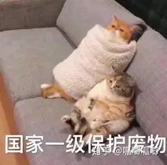 v2-dd60ee3ddedb7152e39c394f672be144_b.jpg