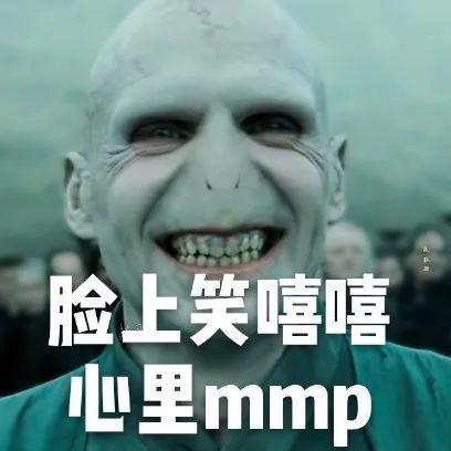 哈利波特表情包之伏地魔系列强劲来袭爱我你怕了吗
