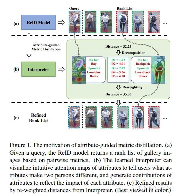 explainable person re-identification with attribute-guided