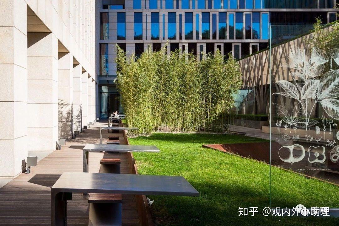 人性化空间的优秀案例——北林校园景观 - 知乎