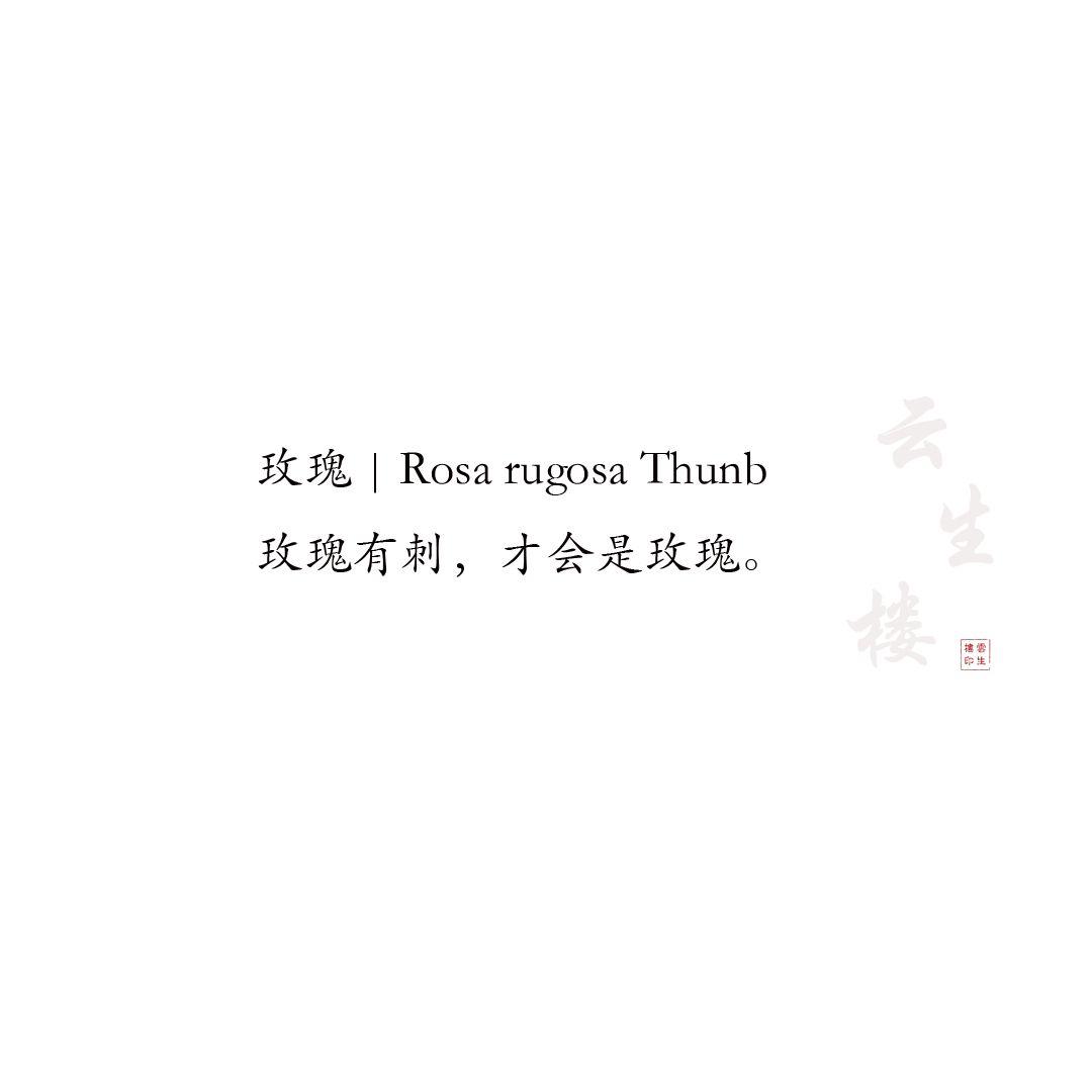 v2-dd923489f65e2d830392f7a97cd4186c_r.jpg