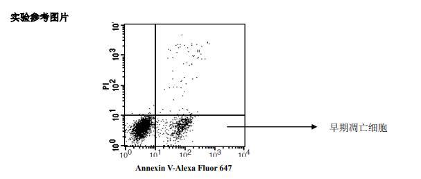 细胞凋亡实验步骤 知乎