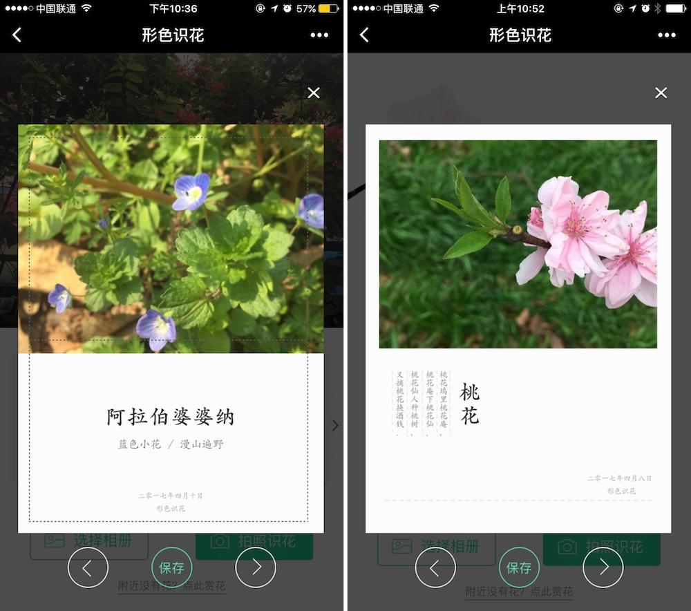 打开「形色识花」小程序,你的手机就成了一部「行走的植物百科全书」.