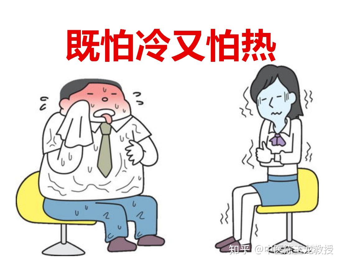 为什么我又怕冷又怕热? - 知乎