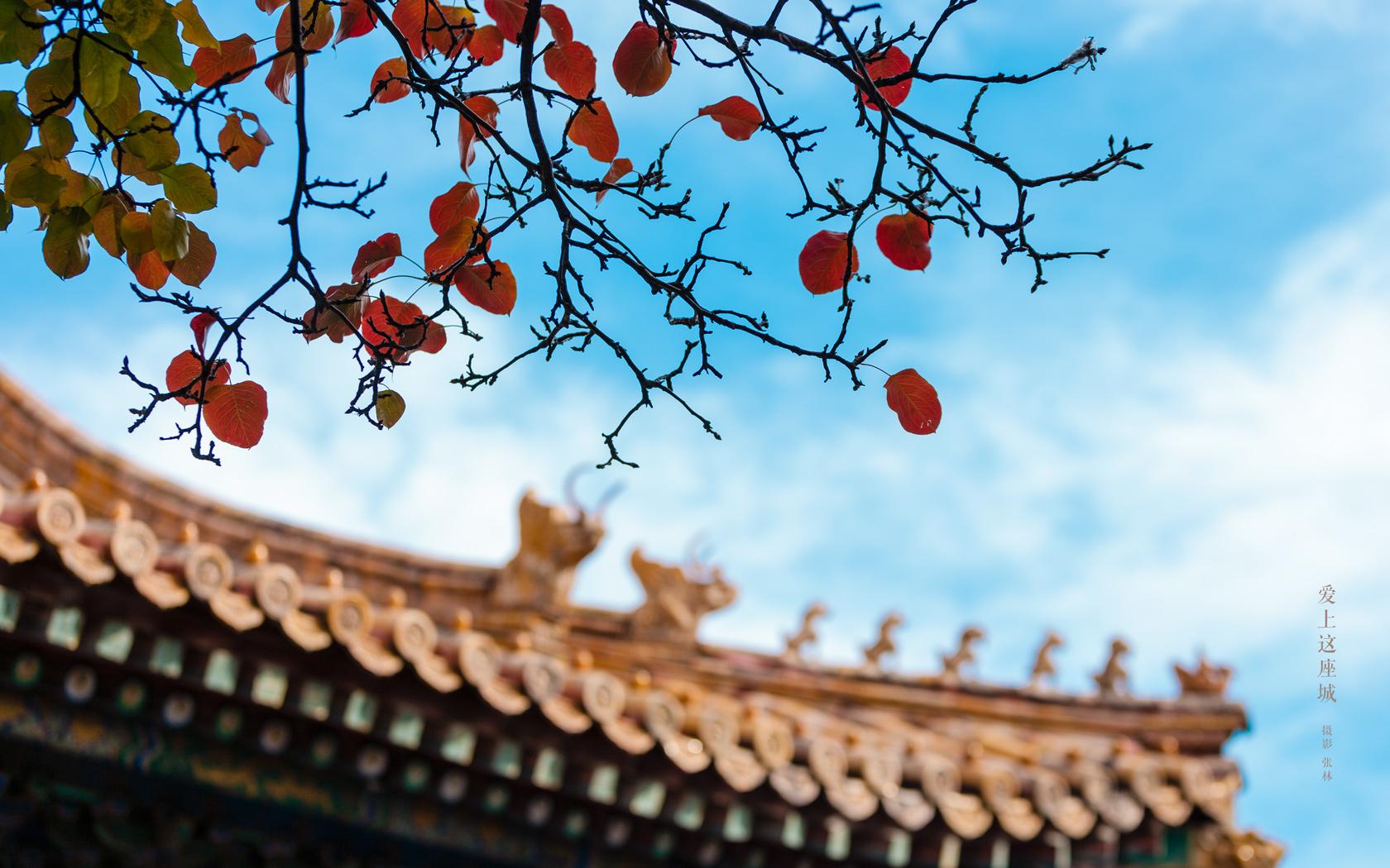 关于故宫的高清壁纸令人惊艳的红色