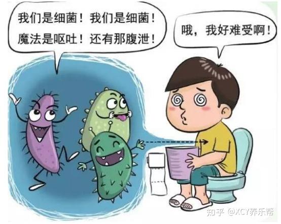 夏季是细菌的温床这些食物隔夜吃小心病从口入