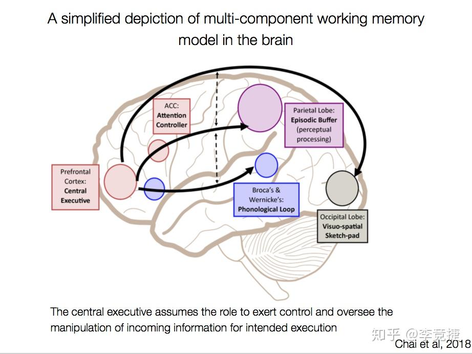 有限的容量如果是单个的储存器,存储多种信息会冲突(collide)实际上