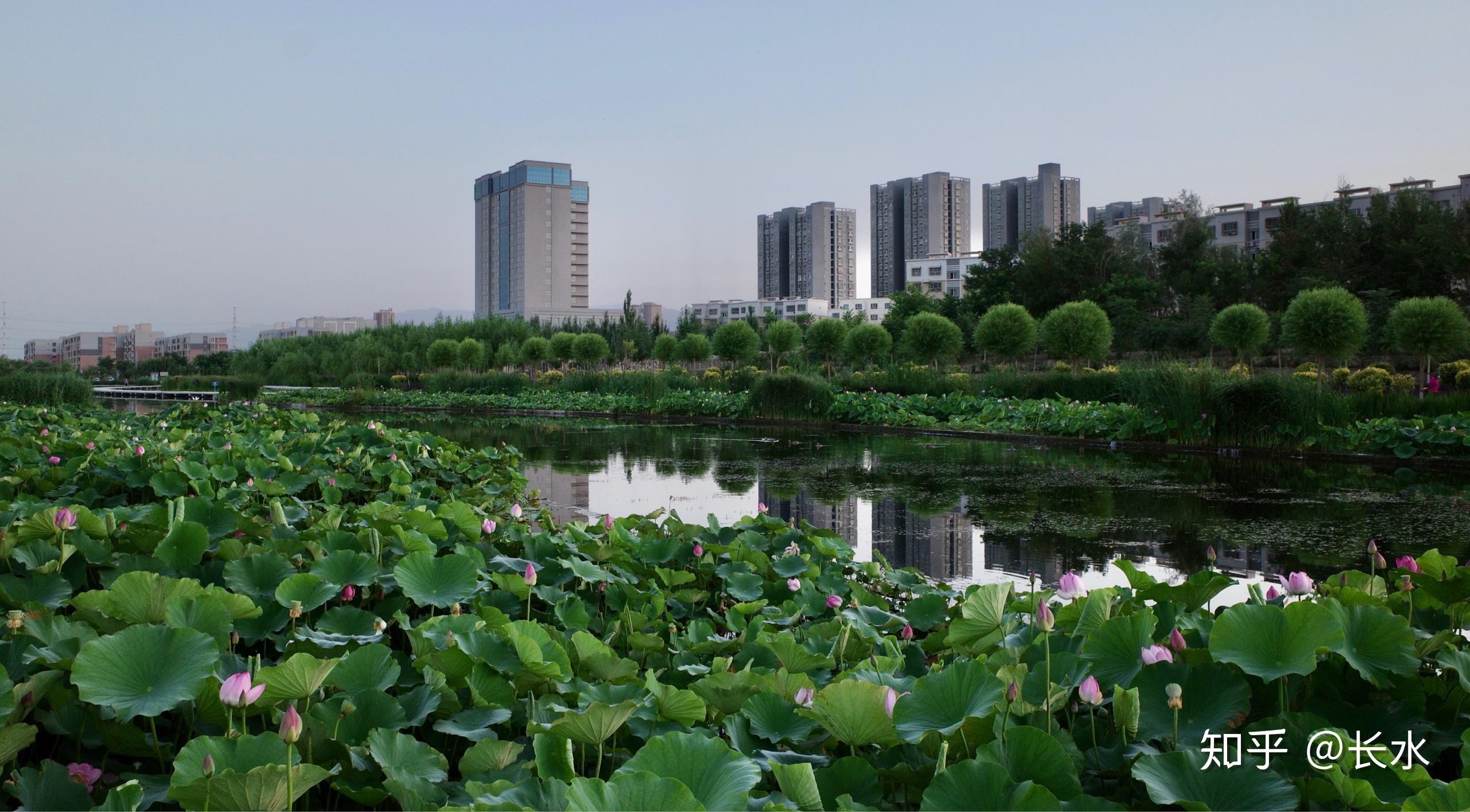 坚持是成功的捷径