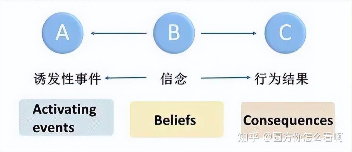 聊聊这两天的波动 - 知乎
