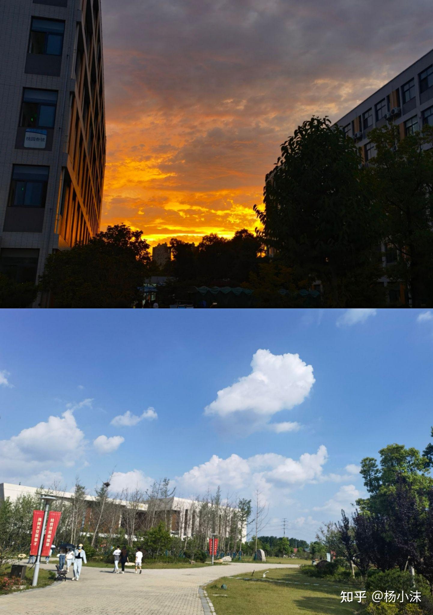 我在无锡学院等你哦～樱花大道,明湖风光,花旗印象等春夏秋冬四季美景