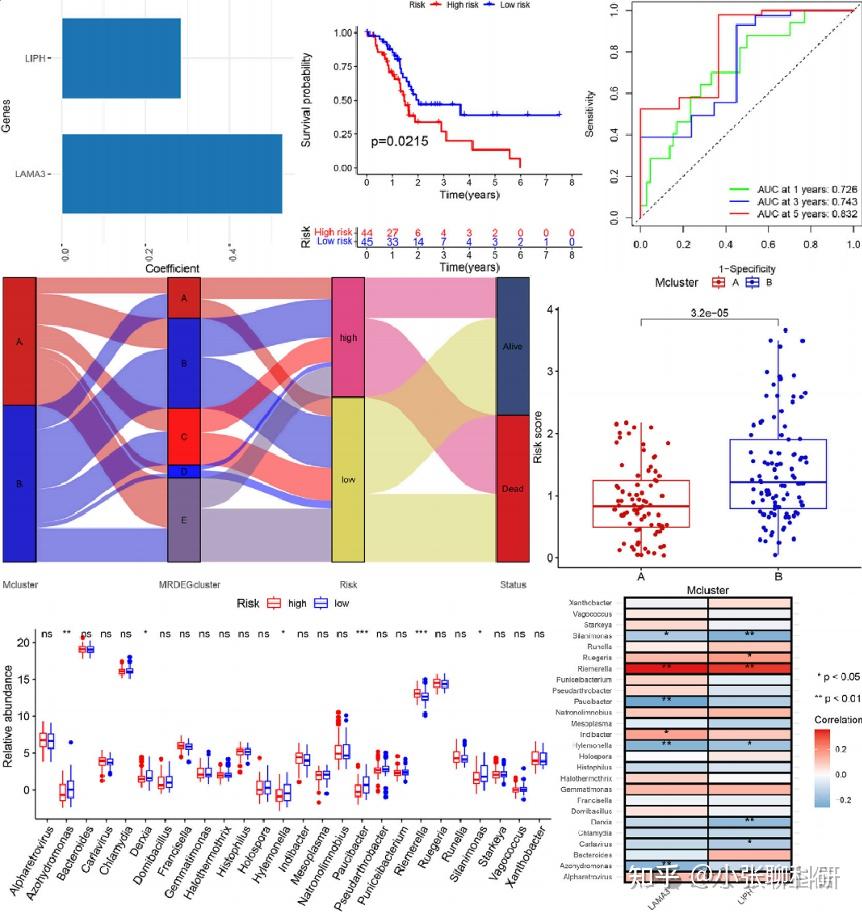 肿瘤分型预后分析缺乏新角度大连医科大学附属第一医院这篇多组学数据