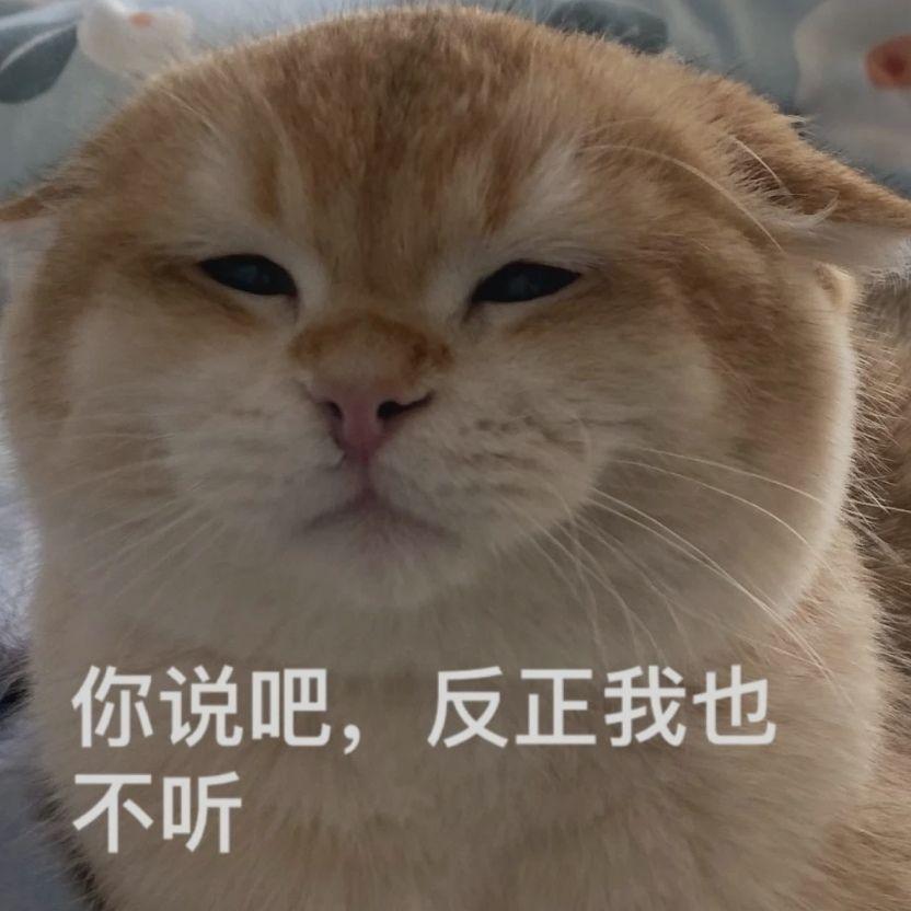 有哪些你笑疯的沙雕文案呢