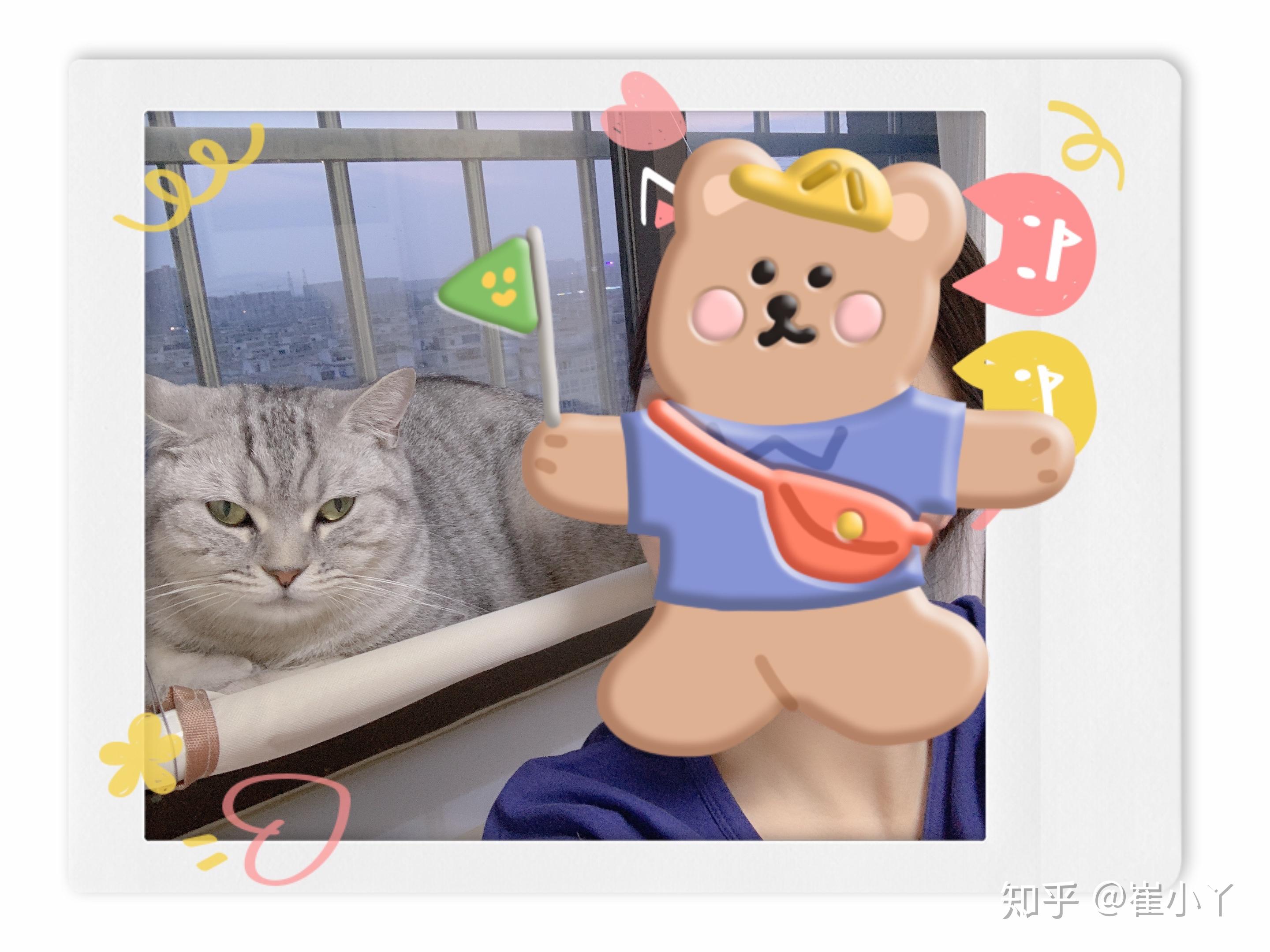 关于河南专升本的个人经验之谈插图2 关于河南专升本的个人经验之谈插图2