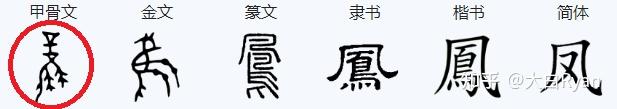 NO.75 大白活字:“鸟” - 知乎