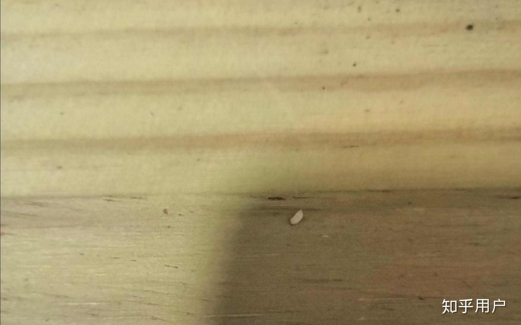 阴茎皮里面皮下非龟头上面有几个颗粒样的东西把阴茎皮扯起来摸有点像