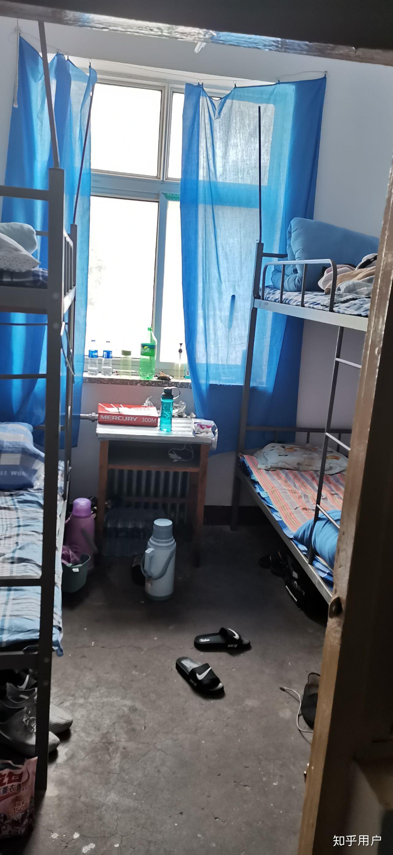 河北农业大学秦皇岛校区怎么样?