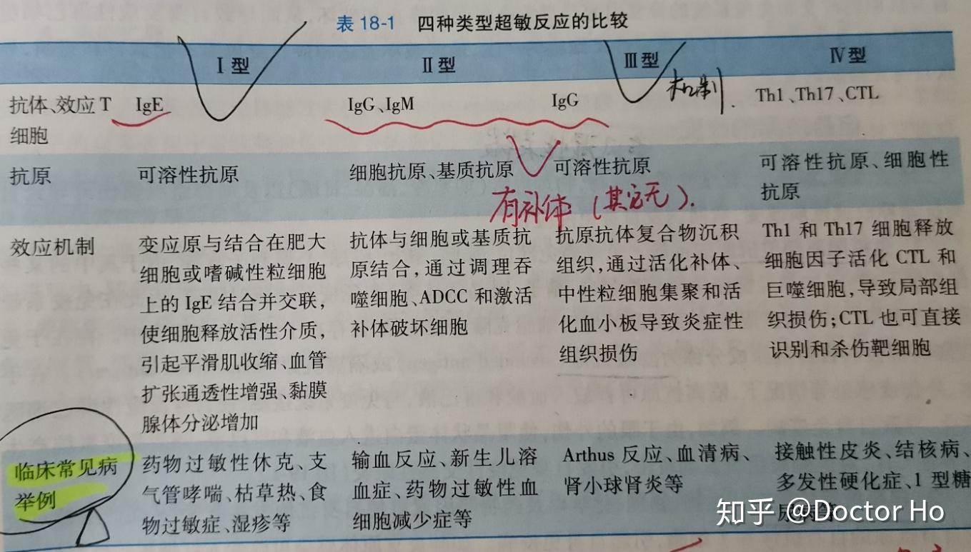 反应慢(再次接触相同抗原后24-72h发生;消退慢(迟发型超敏反应)