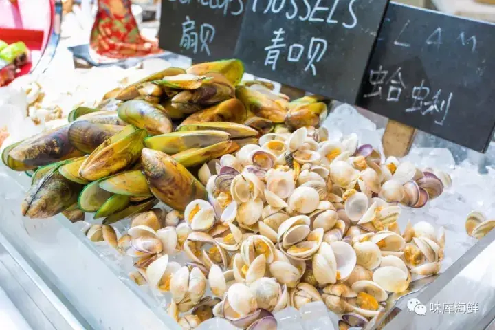 蛤蜊 蚬子 蛏子 蚶子 贝壳 你真的分得清楚吗 知乎