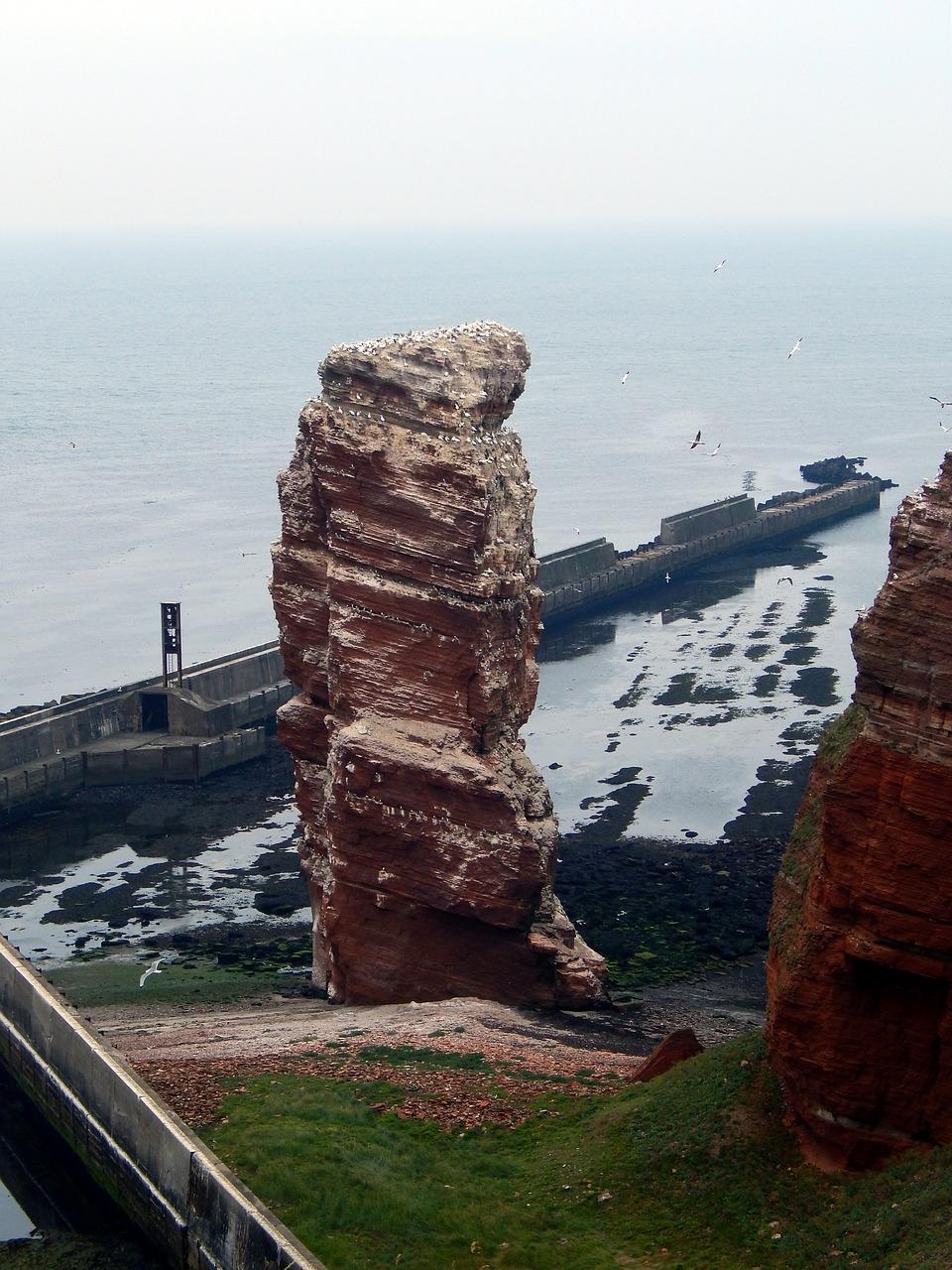 恒大绿洲户型介绍