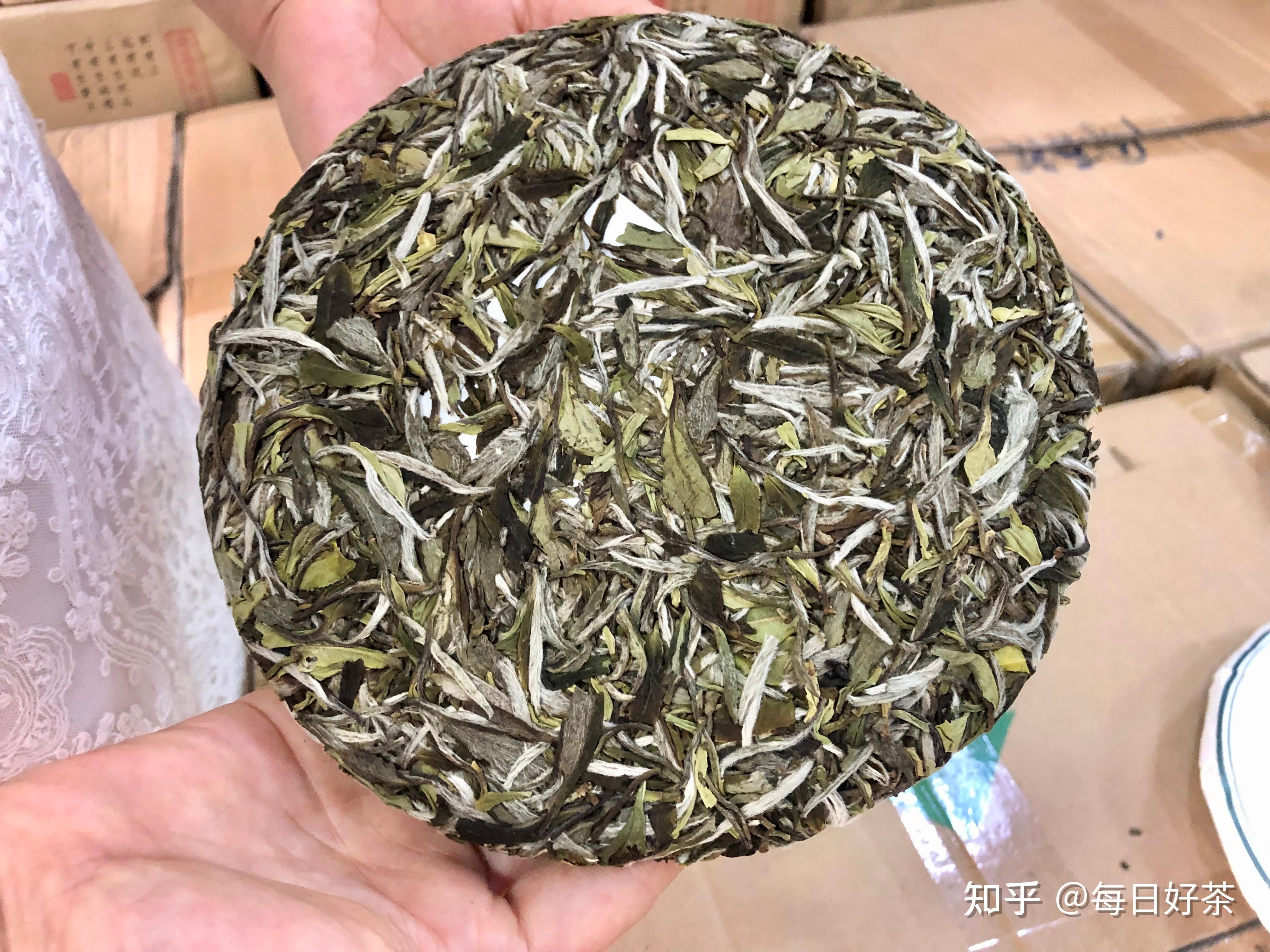 一秒沦陷，为什么老枞牡丹王饼茶这么治愈 - 知乎