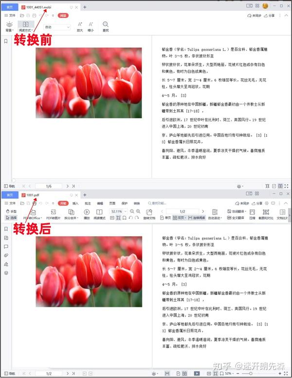 epub pdf mobi azw3 txt markdown 