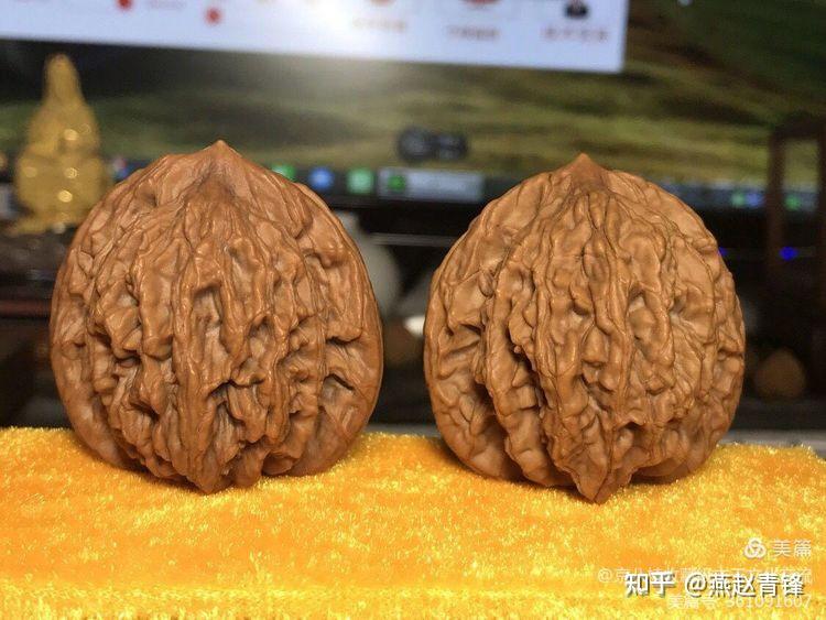 Q7寻楸记(野外山地寻核纪实游记)探寻野生京八棱小核桃八道筋资源分布