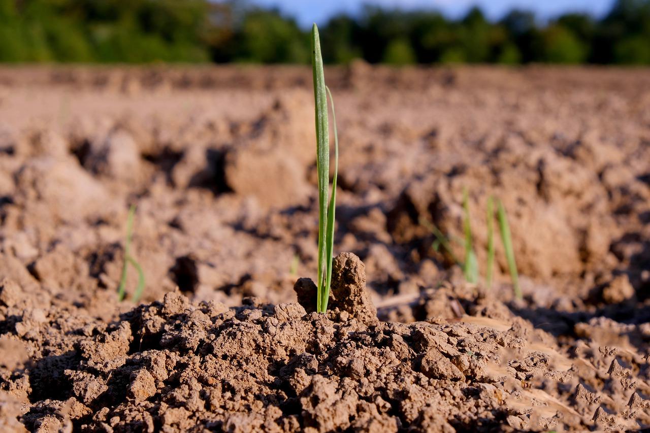 采矿用地属于什么地类