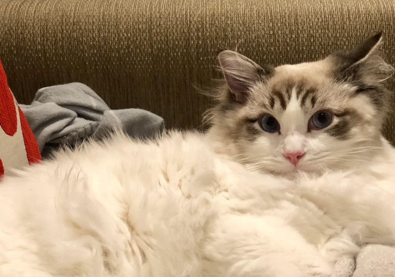 Java中的秒表StopWatch 知乎