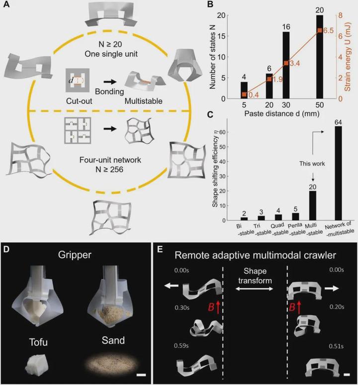 《Sci.Adv.》收录，北卡州立大学提出多稳态元结构实现突破：单一薄膜单元呈现二十种稳态，机器人变形效率倍增 - 知乎