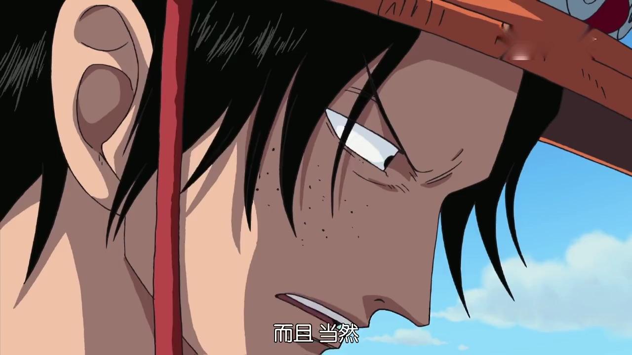 致喜欢海贼王的你