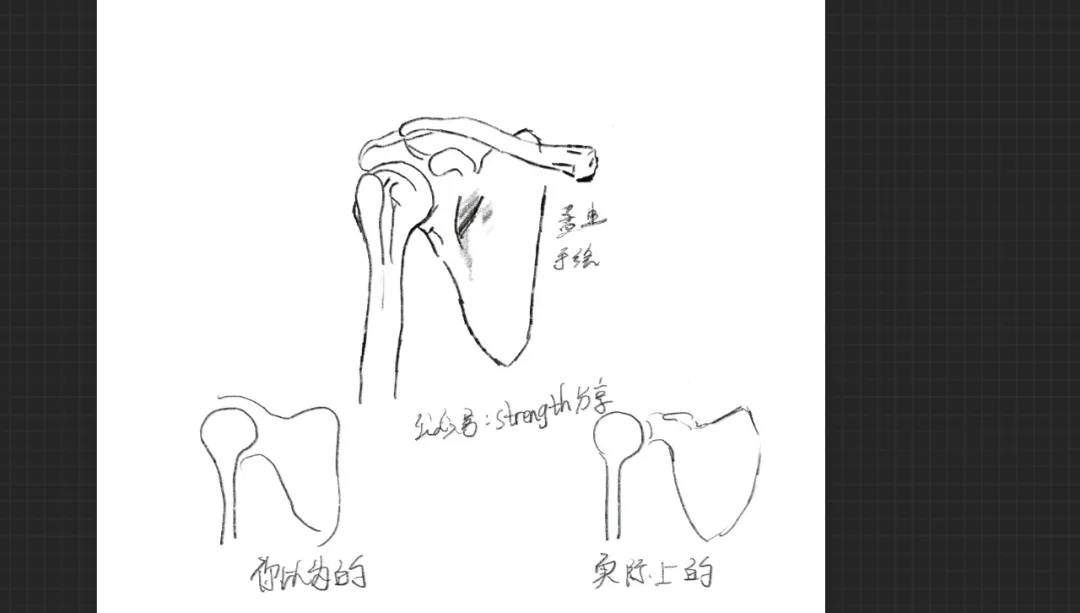 肩关节简笔画图片