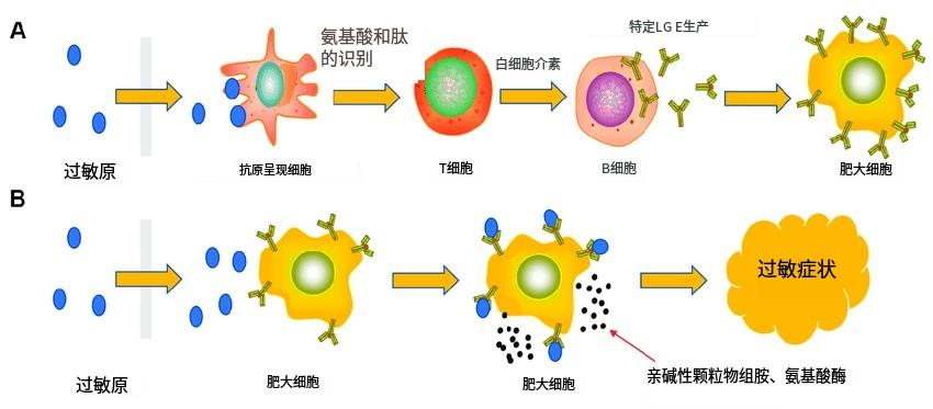 如何判断自己是不是过敏了? - 知乎