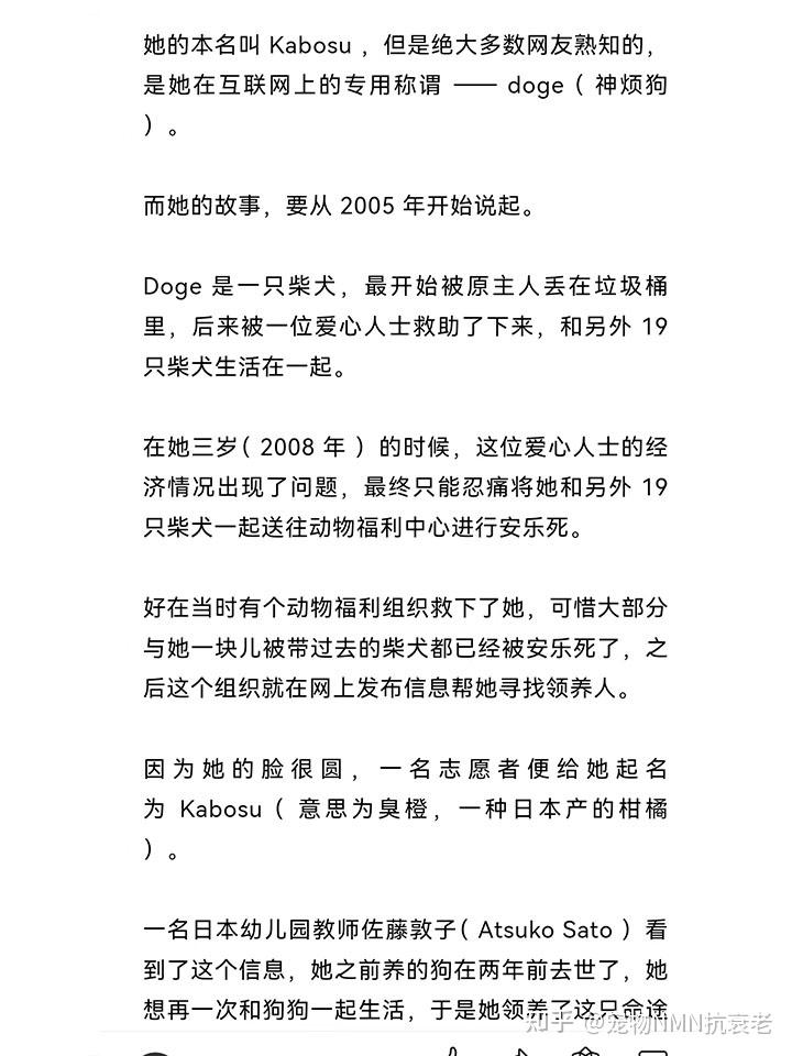 92再见,doge!全网怀念的网红柴犬kabosu的故事95
