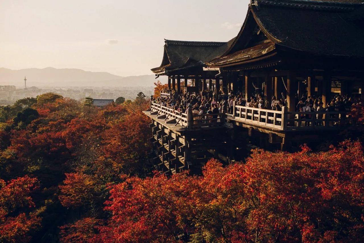 京都金阁寺|摄影|环境/建筑摄影|Vision2TOO - 原创作品 - 站酷 (ZCOOL)