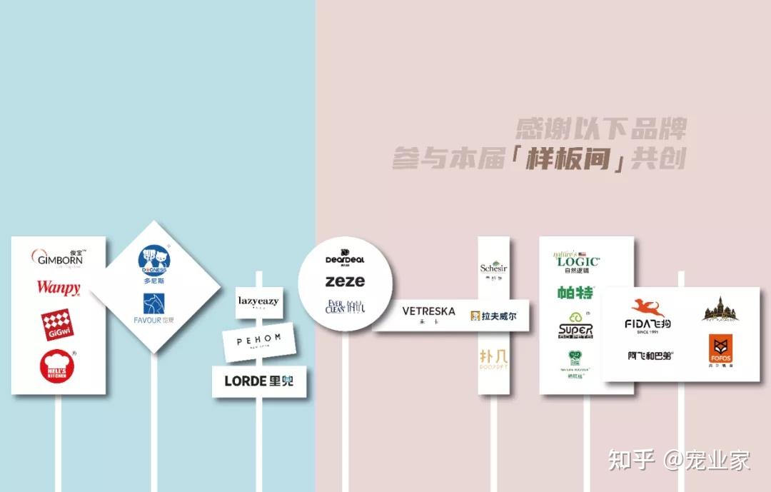 宠物空间摄影教程笔记，技巧教学大全