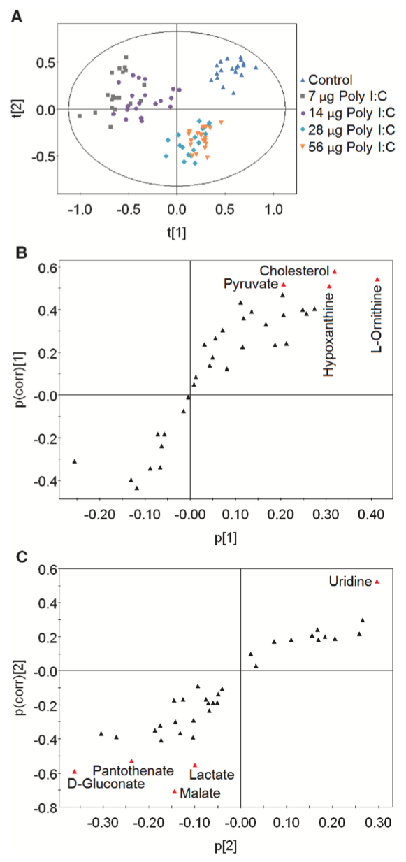 Fish and Shellfish Immunology丨TLR3激动剂通过增强三羧酸循环从而增强斑马鱼对细菌感染的抗性 知乎