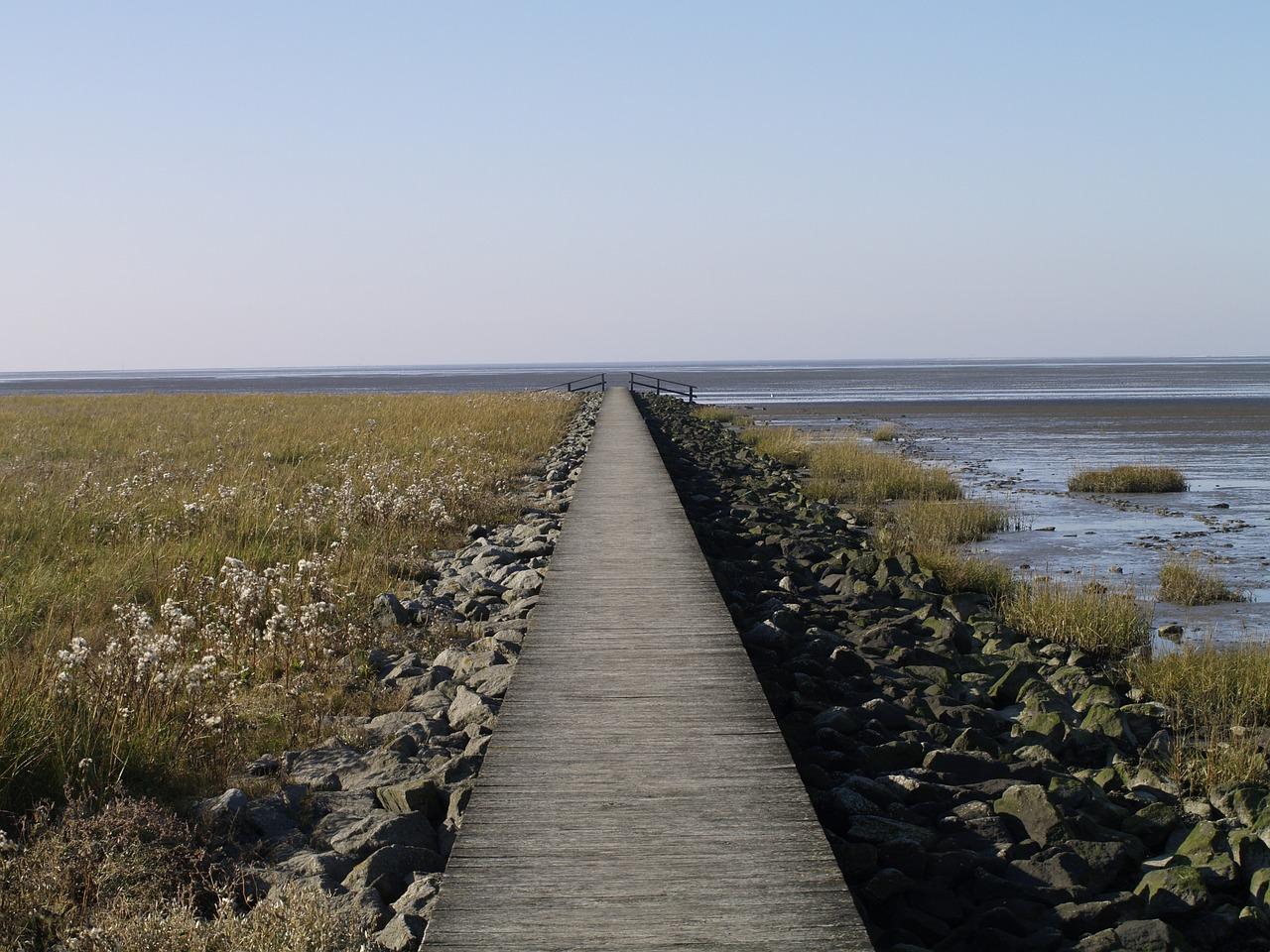 4. 周边设施齐全