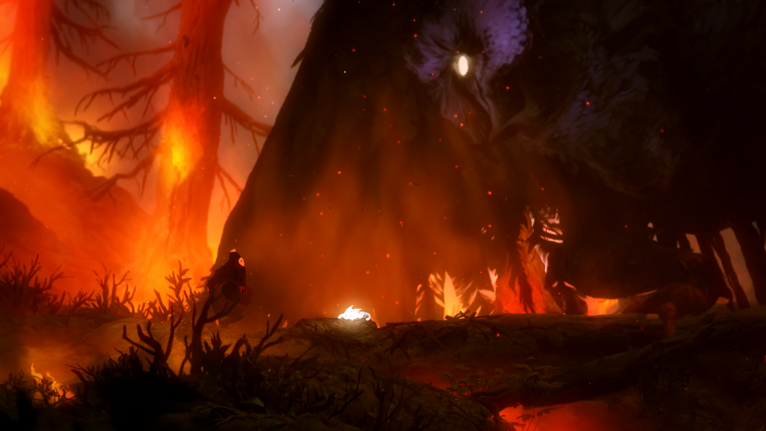 oriandtheblindforest奥日与黑暗森林