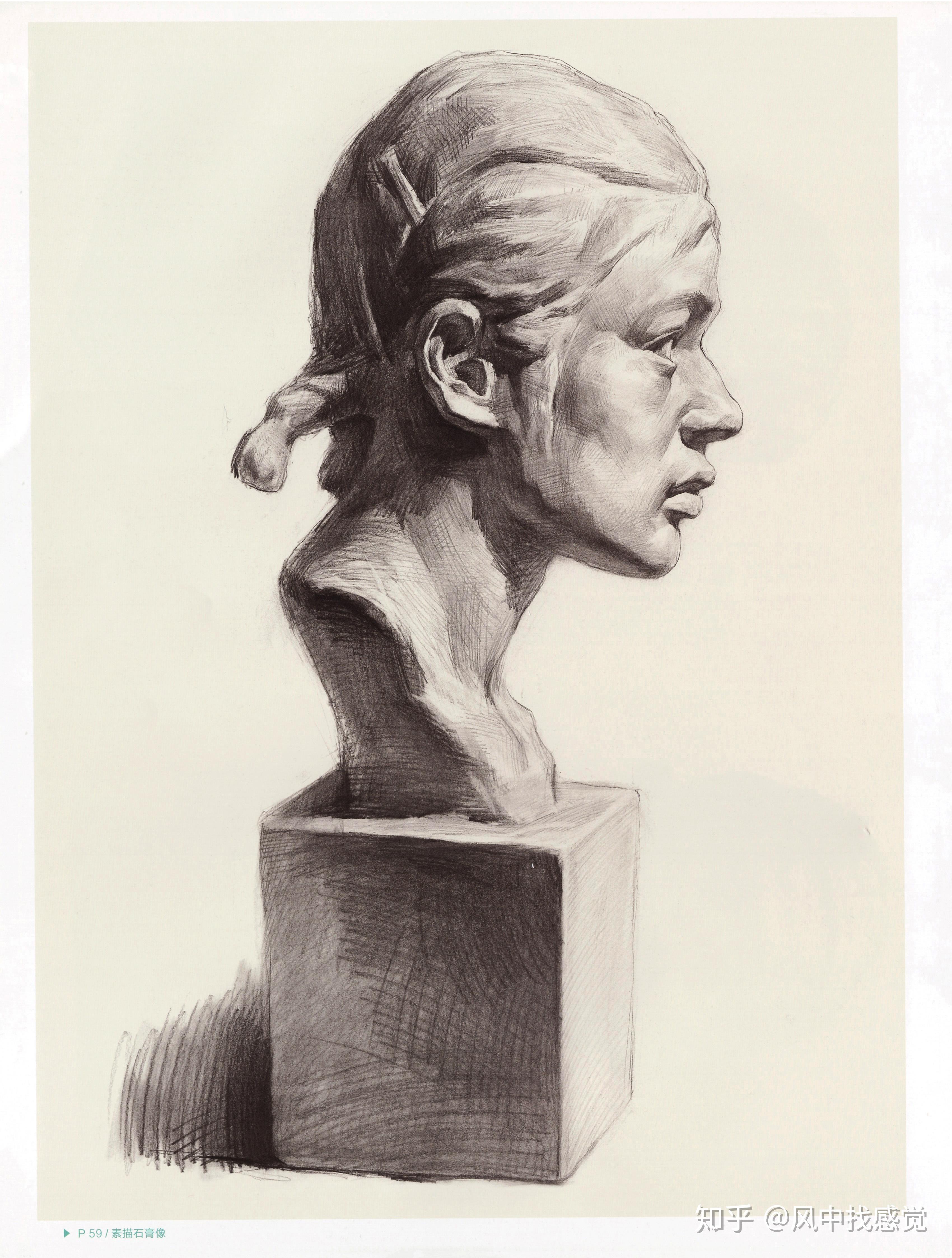 美术生 收藏 ii 【素描石膏头像】-步骤讲解,范画 - 知乎