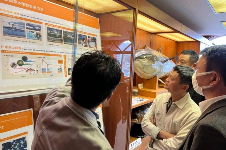 阿里巴巴创始人马云继退休后在全球范围内深入对渔业和农业的研究 - 知乎
