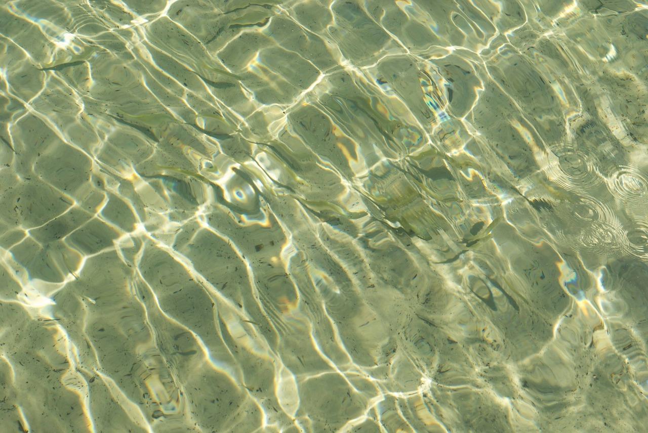 4. 清水濠小学在哪