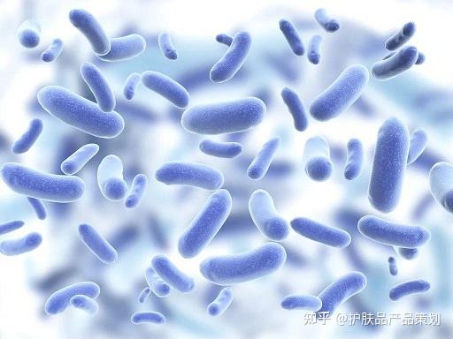 灭活乳酸杆菌|改善阴道微生态,呵护女性私密健康 - 知乎