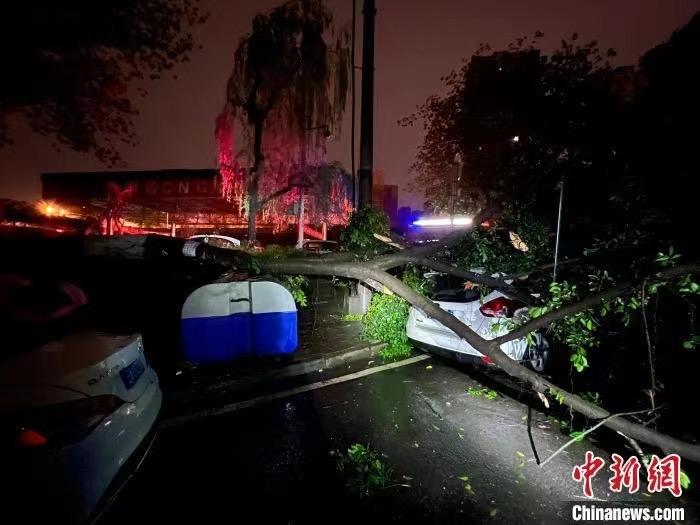 重慶多地遭遇狂風暴雨襲擊局地風力達11級大風天氣下居民外出需要知道