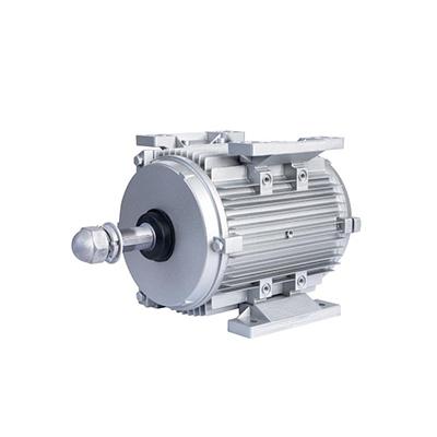 永磁同步电机厂家直流无刷电机选型号如何有效测定永磁电机工作环境的