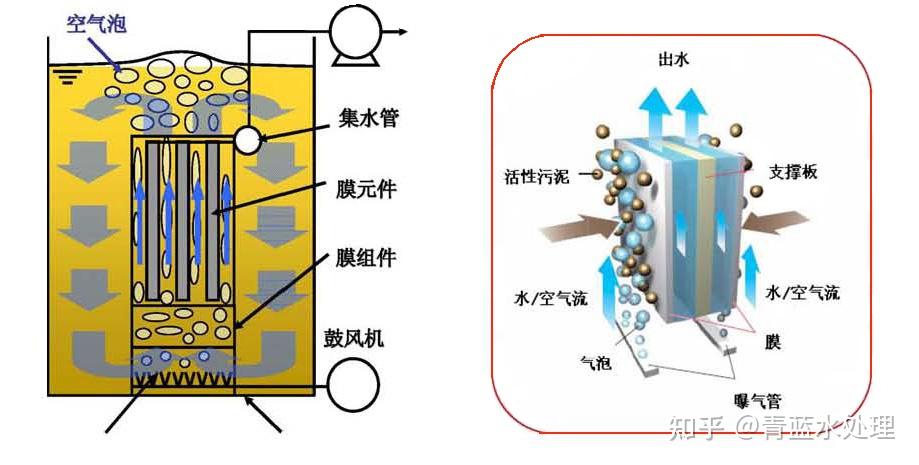 废水生物除磷技术特征