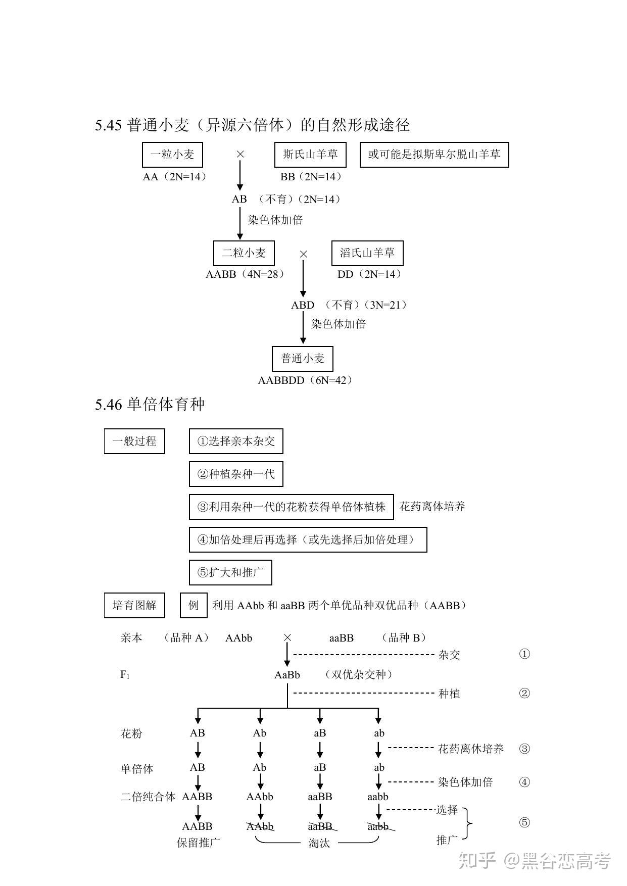怎么学好生物最快方法 v2-de9cd74373cb83a7d3a5981e513d4610_r.jpg