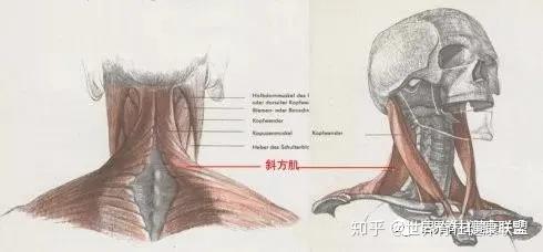 v2-dea8be1198a339e7d442ab0067c818c4_r.jpg